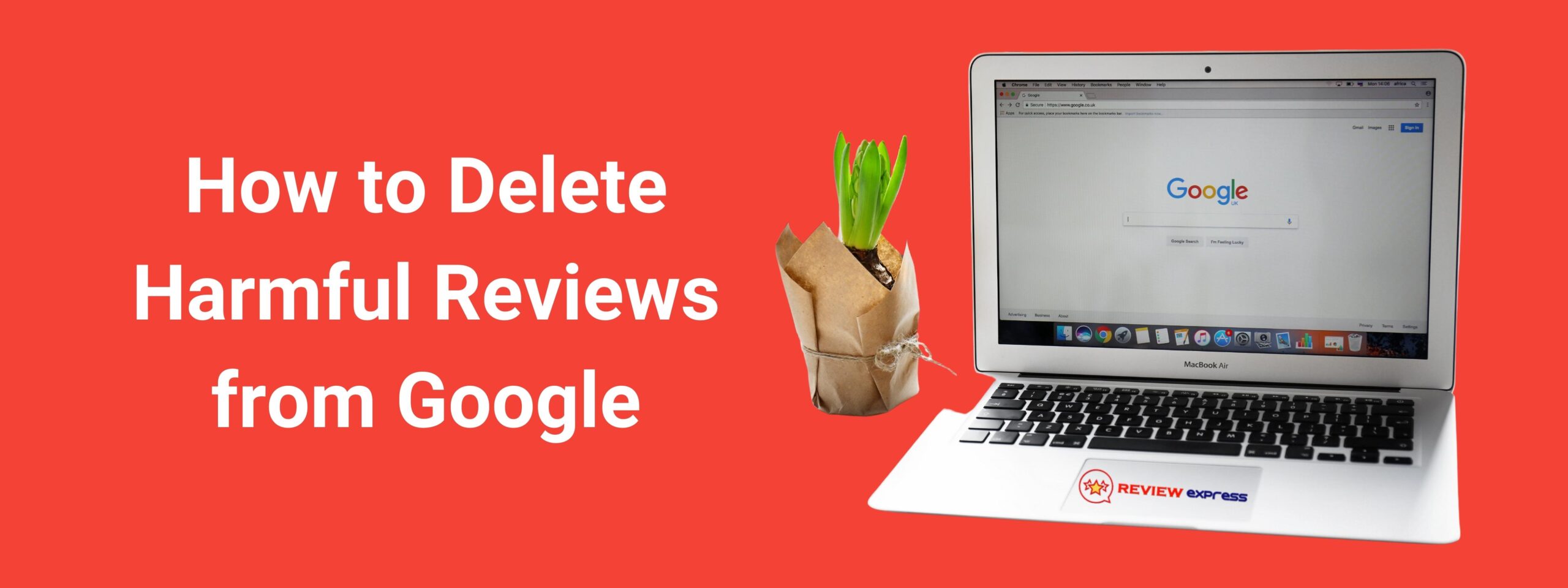 How to Delete Harmful Reviews from Google